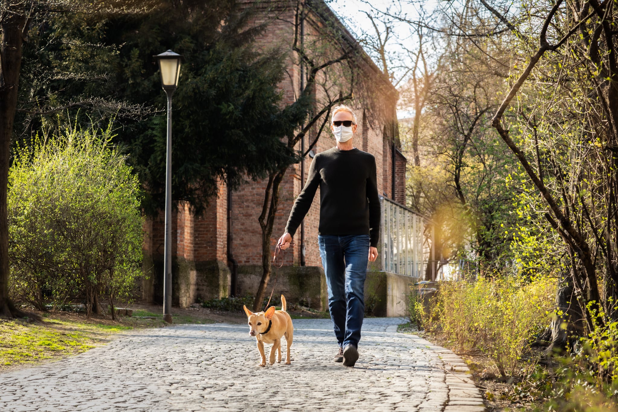 Image of a man wearing a mask while walking his dog outside.