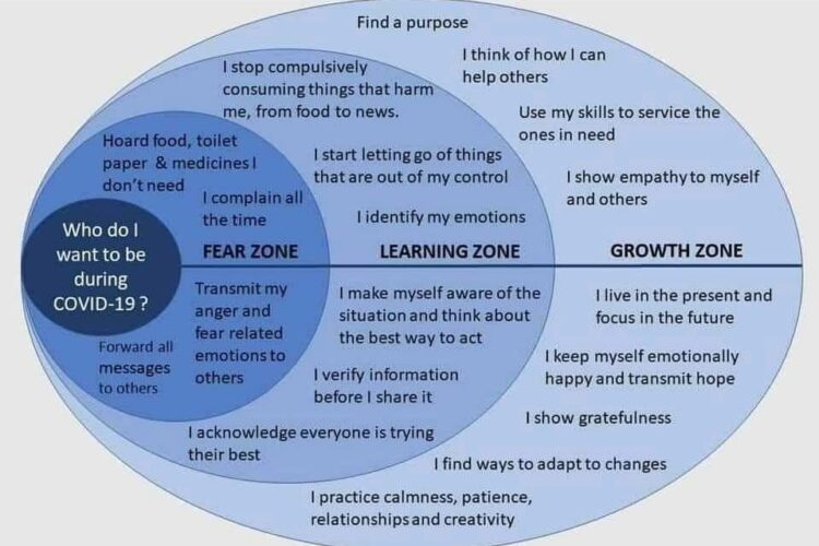 fearlearninggrowthzoneinfographic