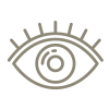 icon-eye